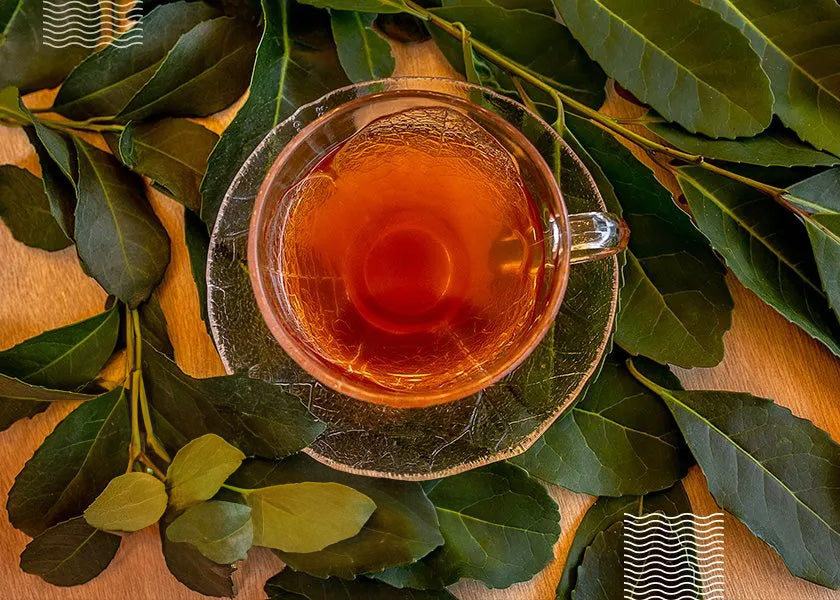 Chá Mate: Benefícios, Propriedades e Como Consumir